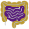 icons8-intestine-64